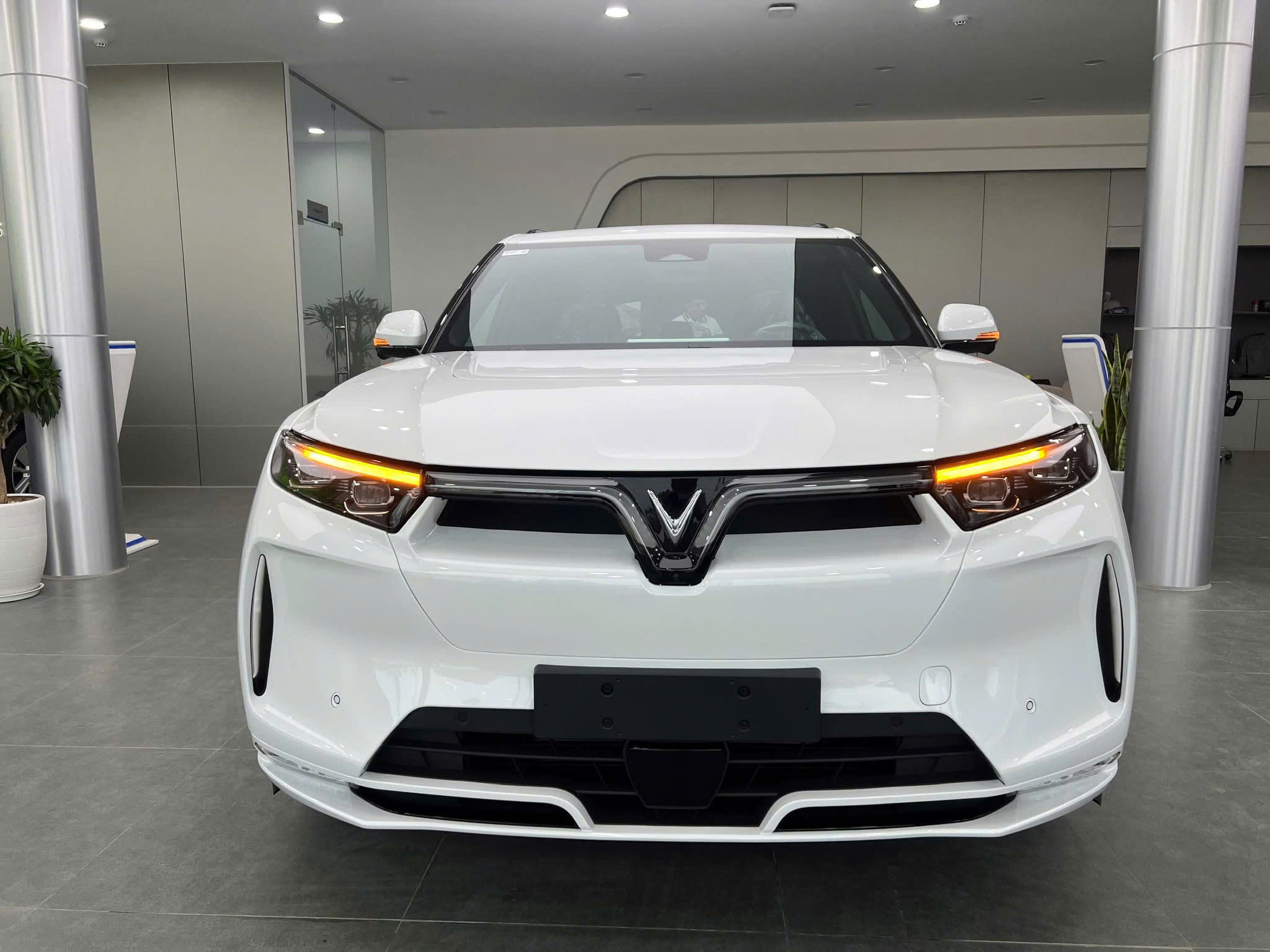 ►  VF 9:  1ty499 - 1ty699