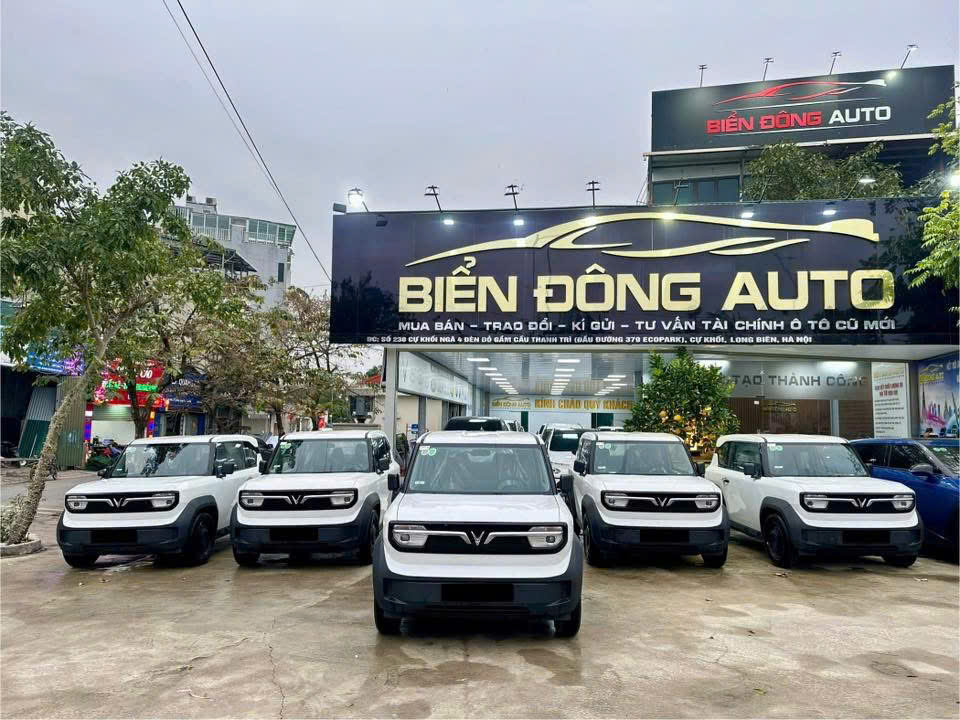 Bán VinFast VF3 New 2025 – Chỉ 248 triệu.